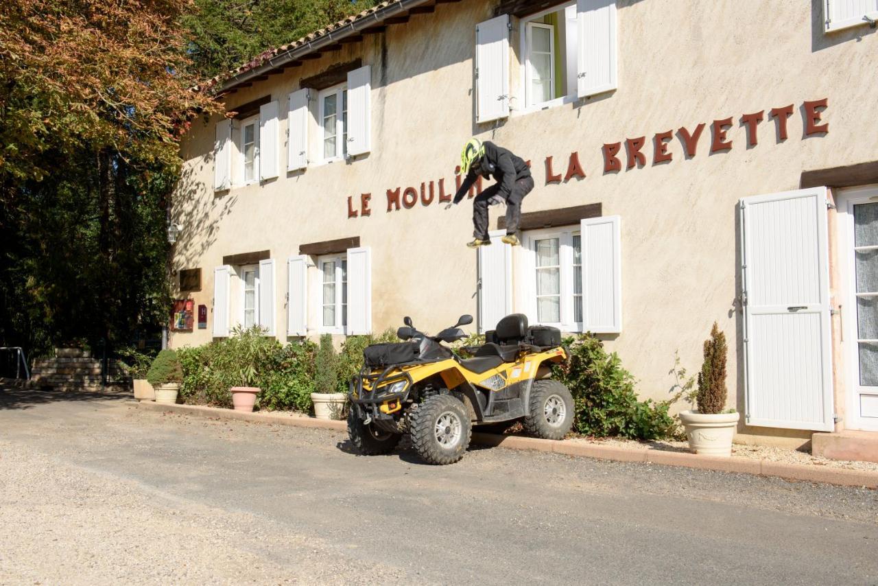 Hotel Du Moulin De La Brevette Arbigny Eksteriør billede